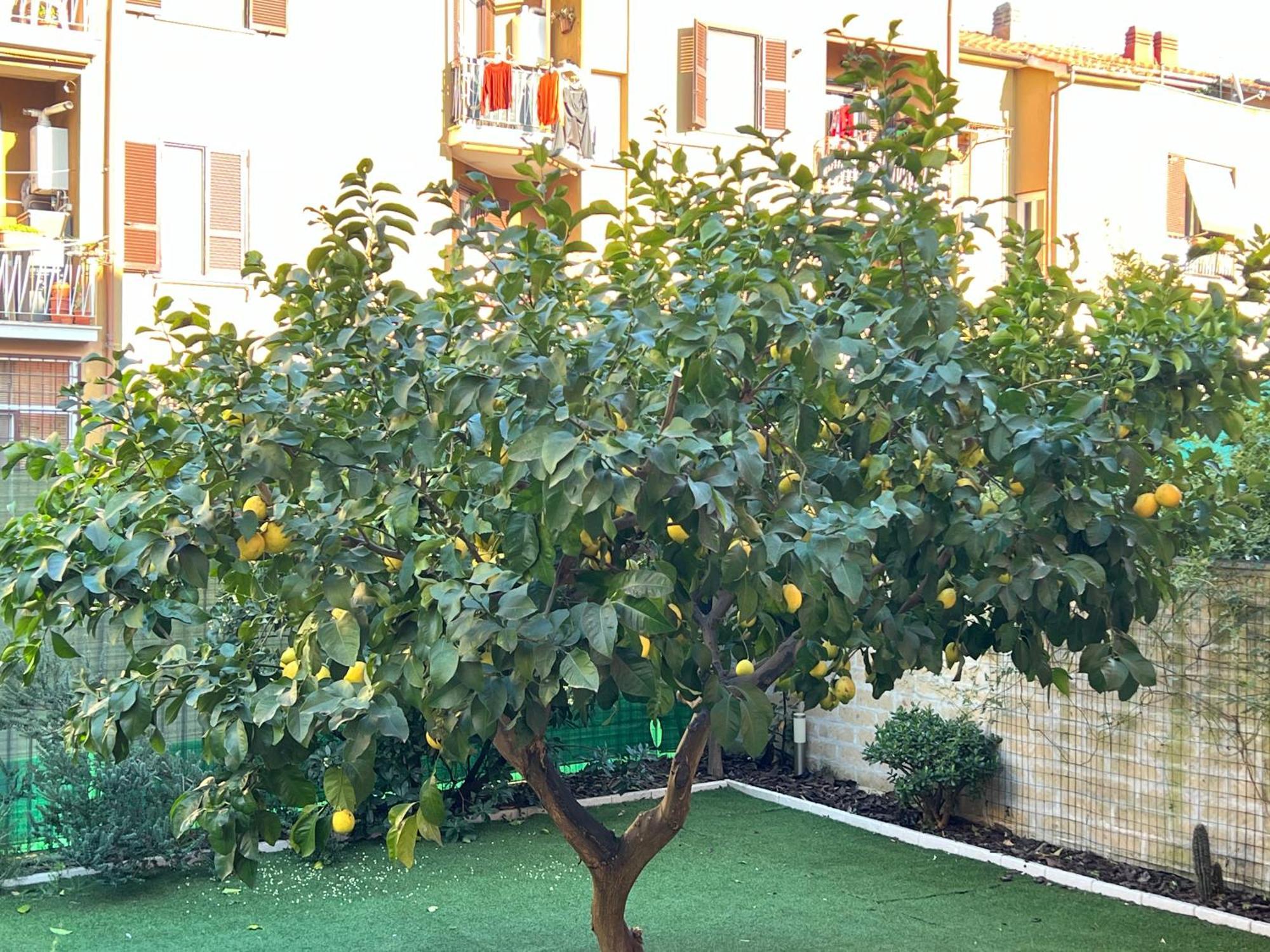Casa Paestum. Your Wonderful Garden In Рим Экстерьер фото