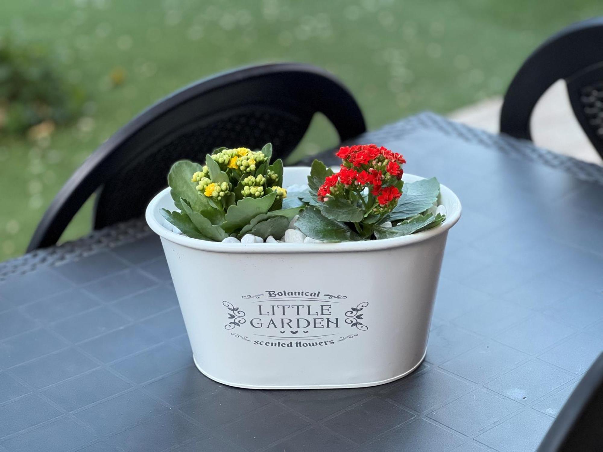 Casa Paestum. Your Wonderful Garden In Рим Экстерьер фото